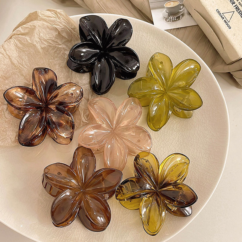 Korean Hawaiian Gradient Flowe - огляд і ціна Hair Claw Clip Set